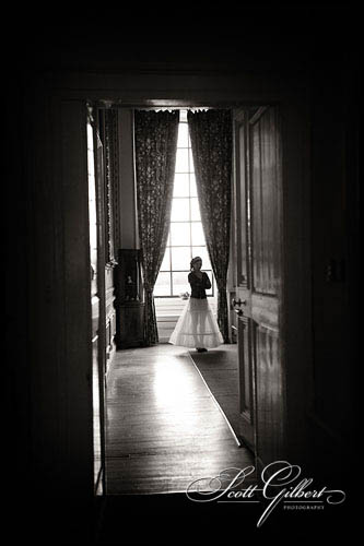 &copy; Scott Gilbert