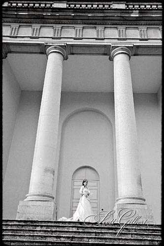 &copy; Scott Gilbert