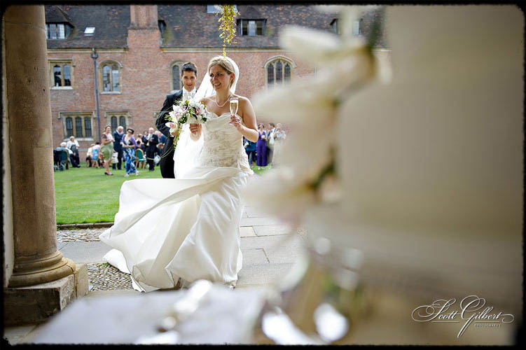 &copy; Scott Gilbert