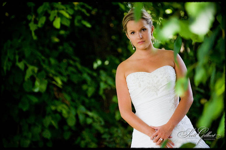 &copy; Scott Gilbert