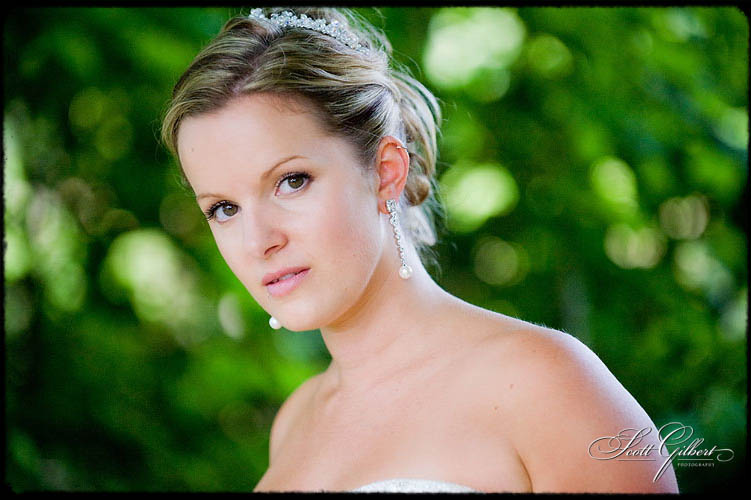 &copy; Scott Gilbert