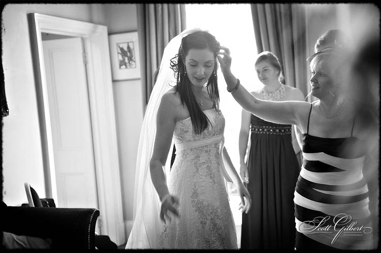 &copy; Scott Gilbert