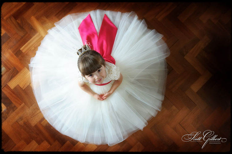 &copy; Scott Gilbert