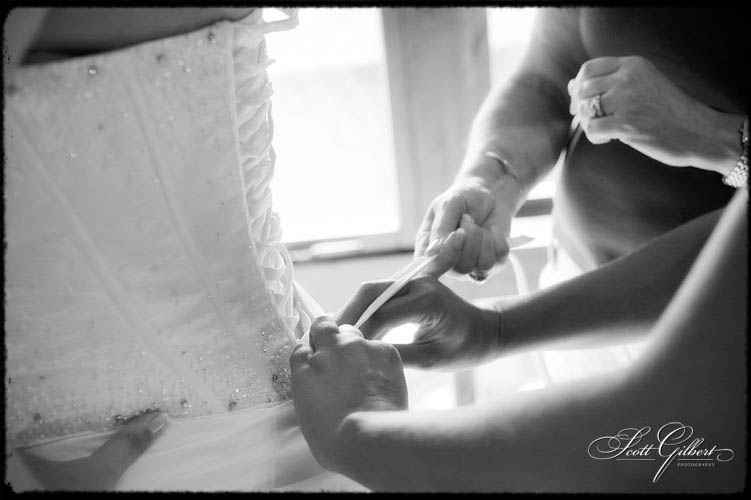 &copy; Scott Gilbert