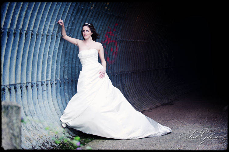 &copy; Scott Gilbert