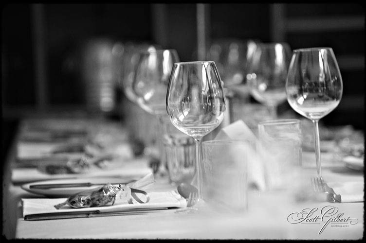 &copy; Scott Gilbert