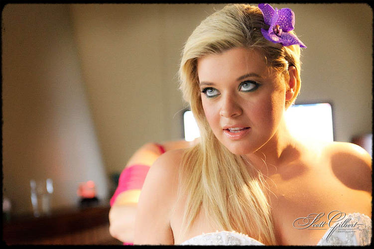 &copy; Scott Gilbert