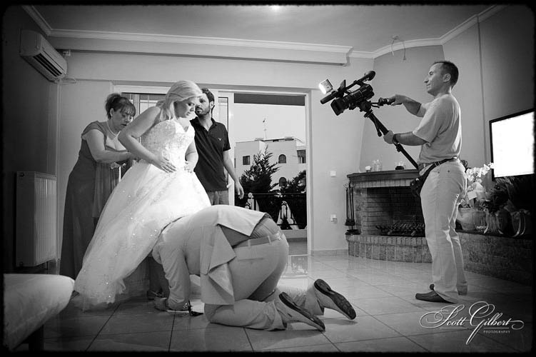 &copy; Scott Gilbert