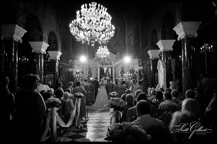 &copy; Scott Gilbert