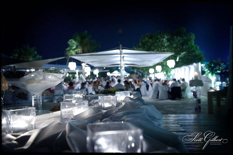 &copy; Scott Gilbert