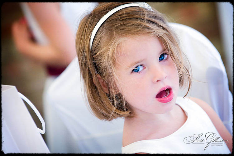 &copy; Scott Gilbert