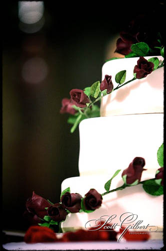 &copy; Scott Gilbert