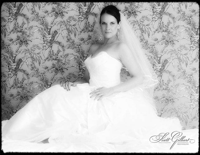 &copy; Scott Gilbert