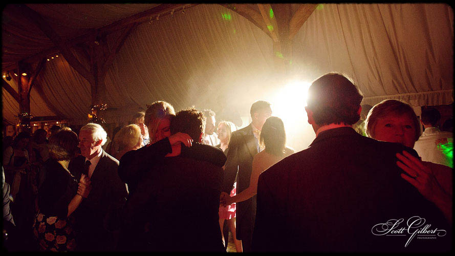 &copy; Scott Gilbert