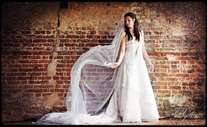 &copy; Scott Gilbert