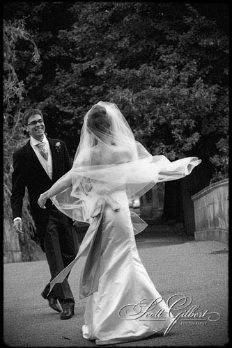 &copy; Scott Gilbert