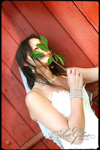 &copy; Scott Gilbert