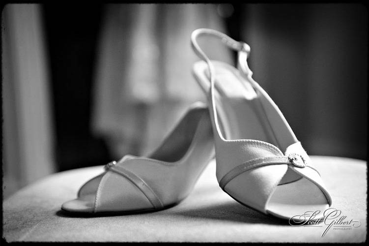 &copy; Scott Gilbert