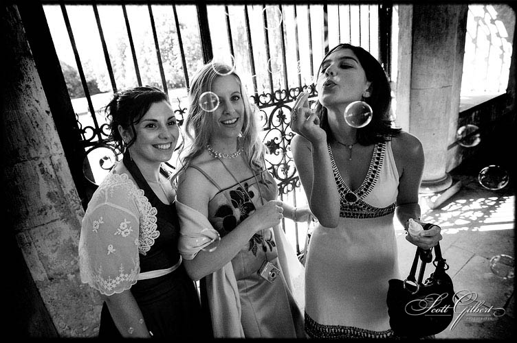 &copy; Scott Gilbert