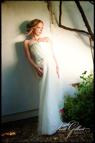 &copy; Scott Gilbert