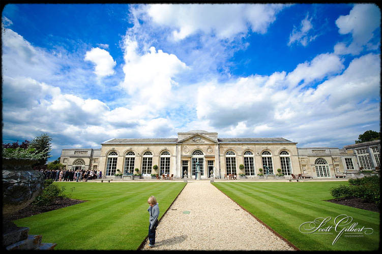 &copy; Scott Gilbert