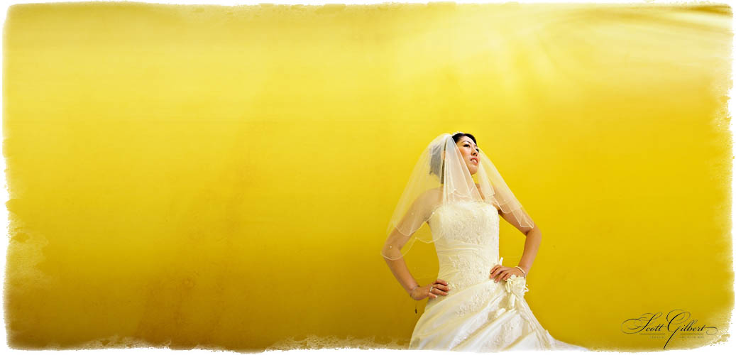 &copy; Scott Gilbert