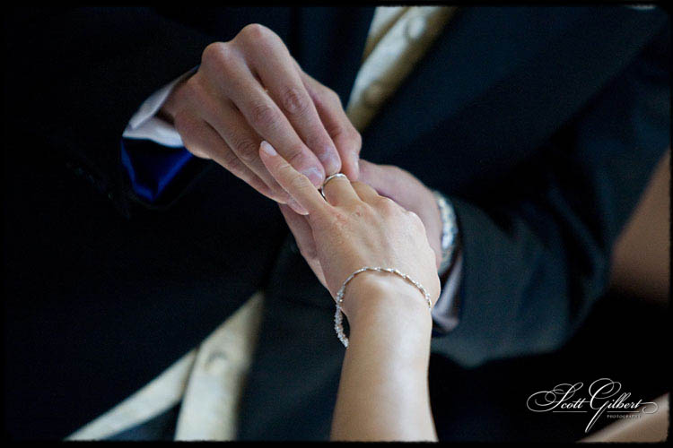 &copy; Scott Gilbert