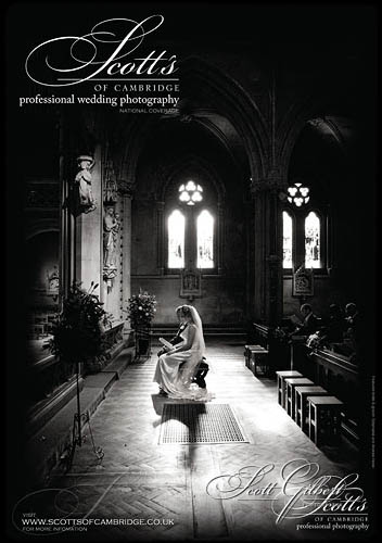 &copy; Scott Gilbert