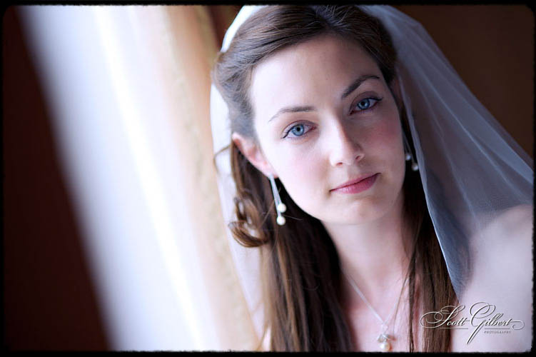 &copy; Scott Gilbert