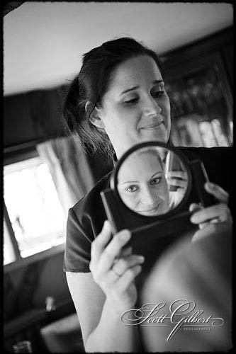 &copy; Scott Gilbert