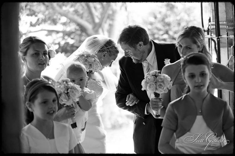 &copy; Scott Gilbert