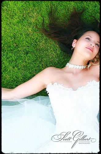 &copy; Scott Gilbert