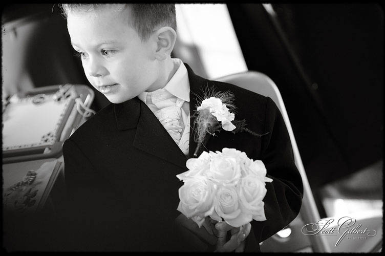 &copy; Scott Gilbert