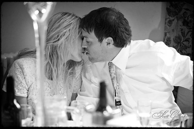 &copy; Scott Gilbert