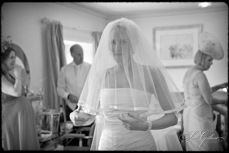 &copy; Scott Gilbert