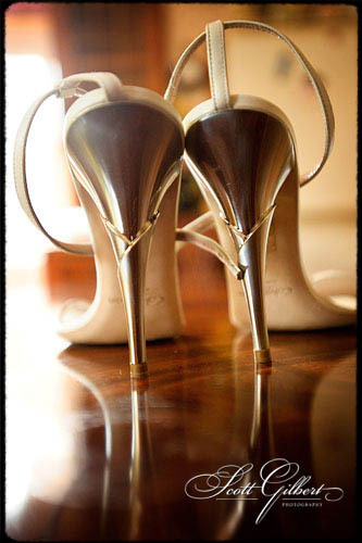 &copy; Scott Gilbert