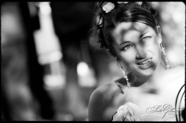 &copy; Scott Gilbert