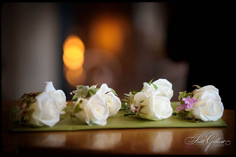 &copy; Scott Gilbert