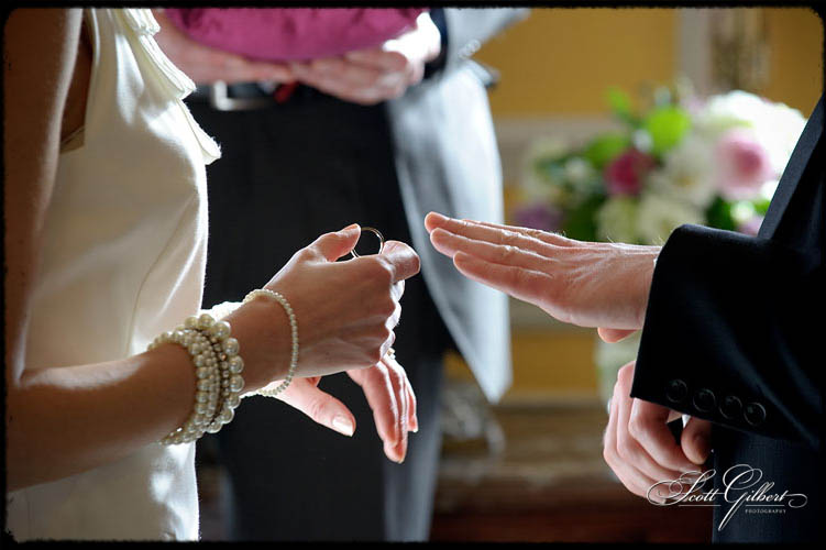 &copy; Scott Gilbert