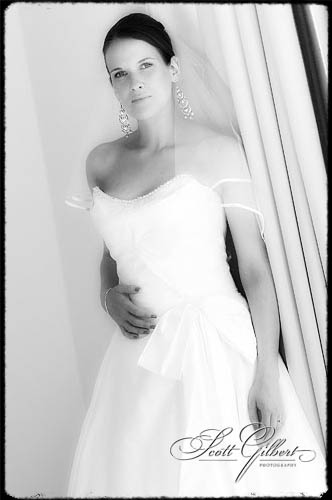 &copy; Scott Gilbert