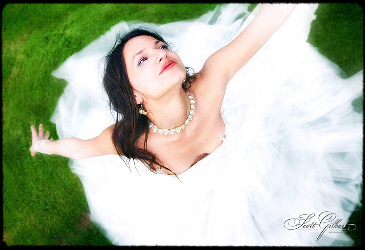 &copy; Scott Gilbert