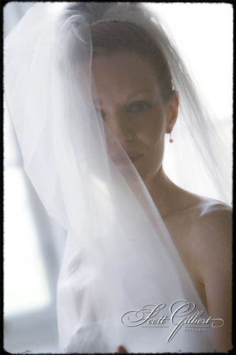 &copy; Scott Gilbert