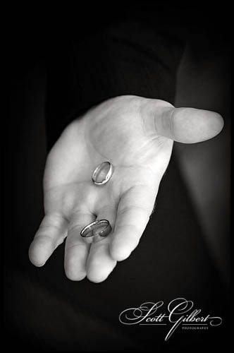 &copy; Scott Gilbert