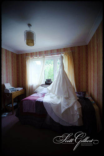 &copy; Scott Gilbert