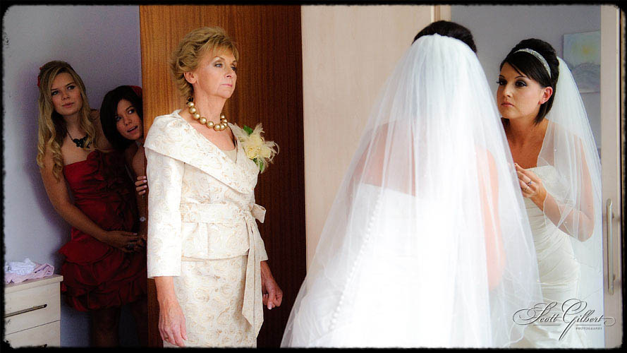 &copy; Scott Gilbert