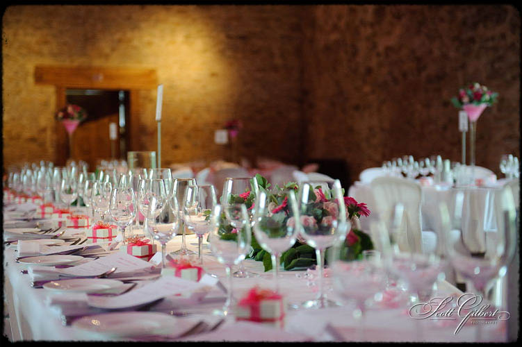 &copy; Scott Gilbert