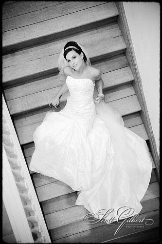 &copy; Scott Gilbert