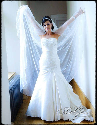 &copy; Scott Gilbert