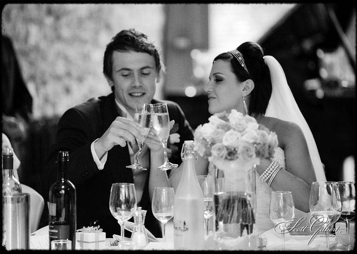 &copy; Scott Gilbert