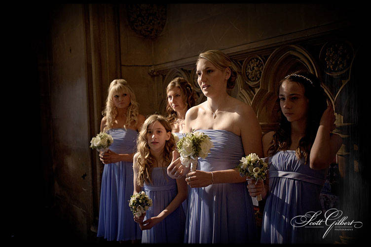 &copy; Scott Gilbert